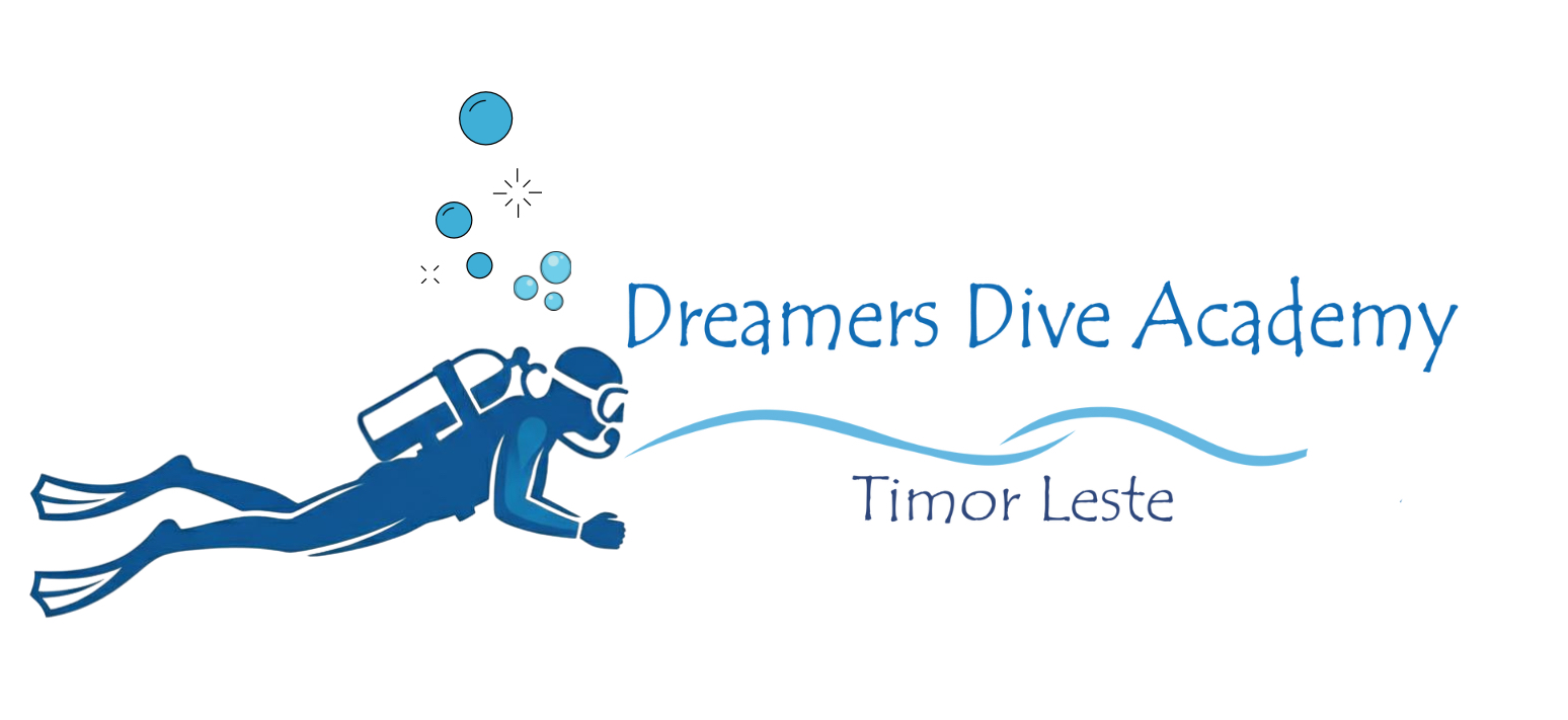 Dreamers Dive Academy
